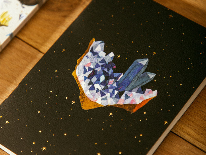 achat Duo de Carnets A6 Curiosity - ATWS