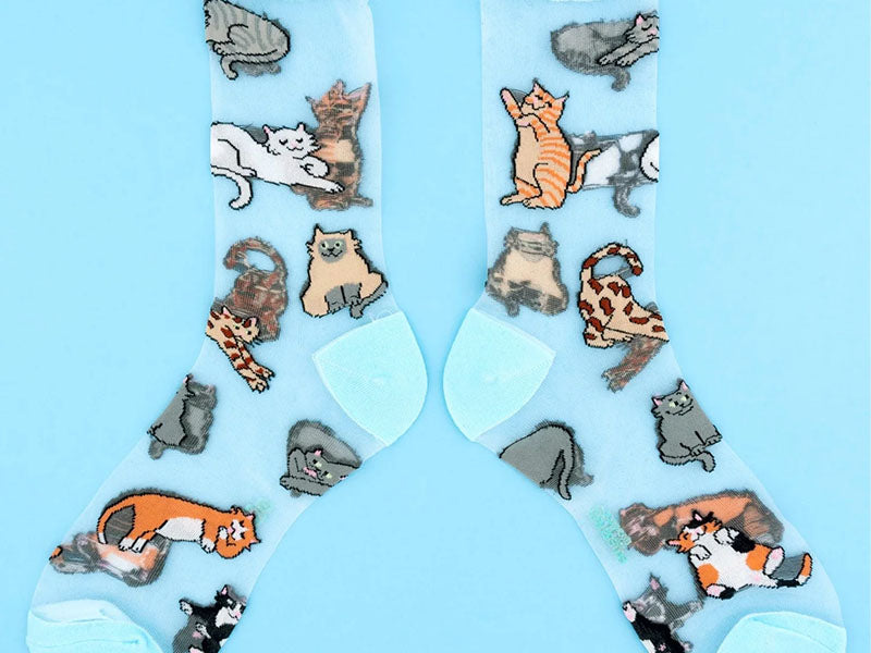 Achat Chaussettes transparentes Miaou - Coucou Suzette