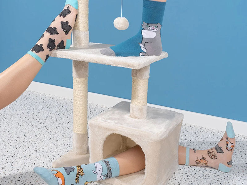 achat Chaussettes transparentes Miaou - Coucou Suzette