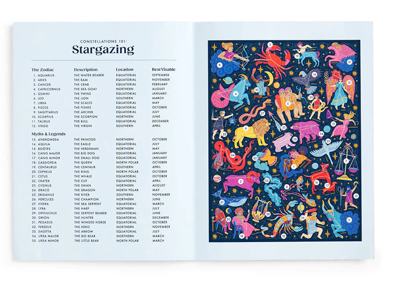 achat Puzzle Stargazing - 500 pièces - Galison