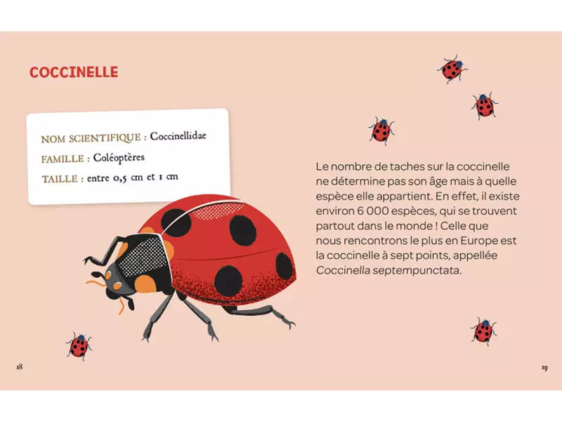 achat Mes insectes à déterrer - Auzou