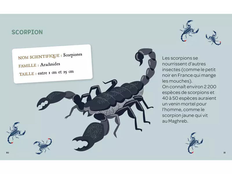 achat Mes insectes à déterrer - Auzou