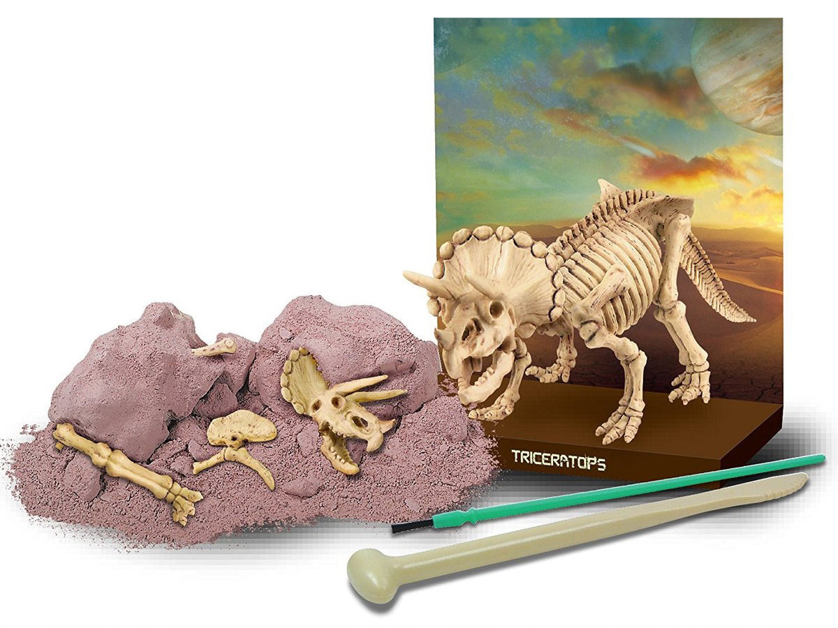 achat Kit DAM - Déterre ton dinosaure - Triceratops