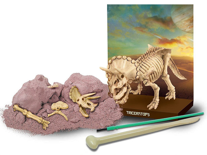 Achat Kit DAM - Déterre ton dinosaure - Triceratops