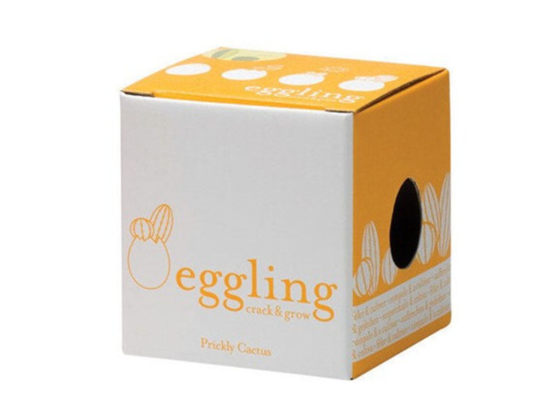 Achat Kit Eggling pour faire pousser un Cactus - Prickly Cactus