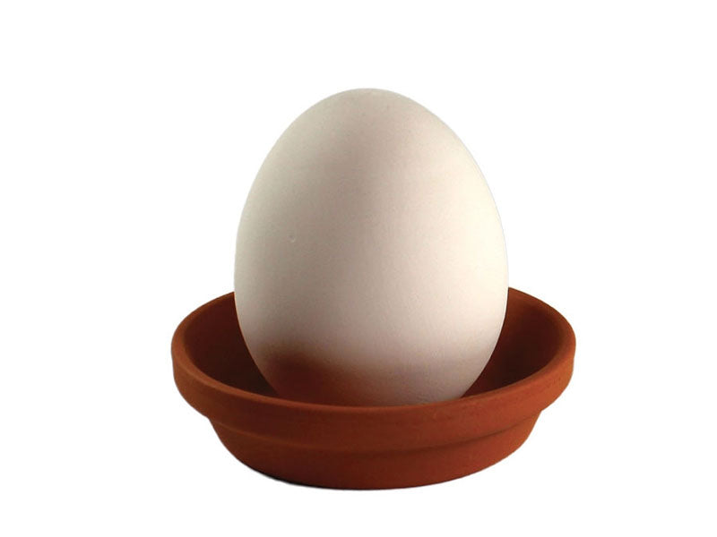 achat Kit Eggling pour faire pousser un Cactus - Prickly Cactus