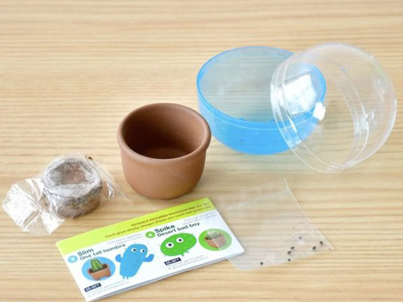 Achat Kit Green capsule pour faire pousser un mini Cactus