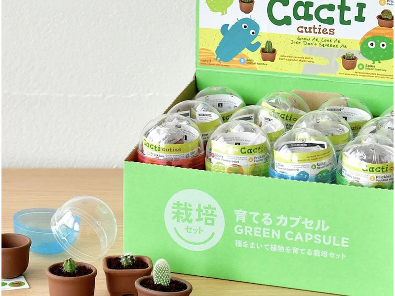 achat Kit Green capsule pour faire pousser un mini Cactus