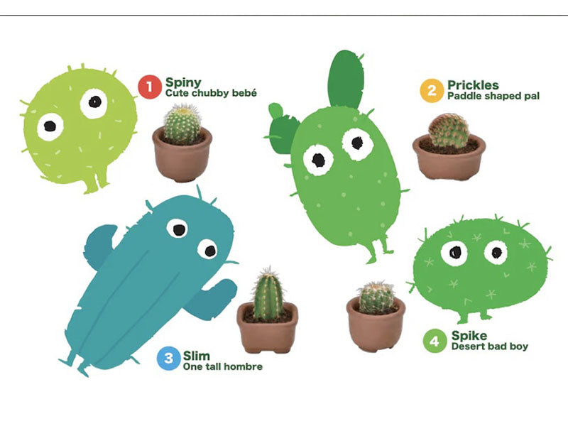 achat Kit Green capsule pour faire pousser un mini Cactus