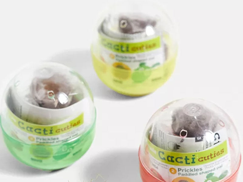achat Kit Green capsule pour faire pousser un mini Cactus