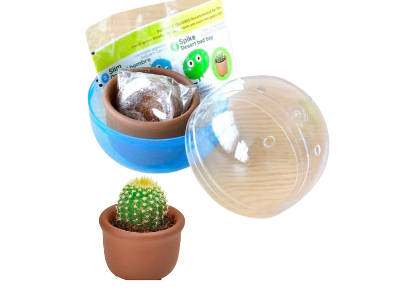 Achat Kit Green capsule pour faire pousser un mini Cactus
