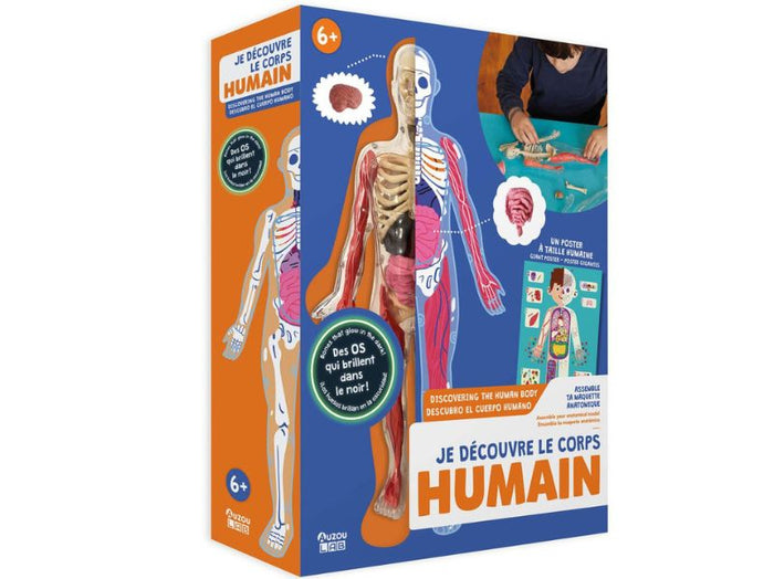Achat Je découvre le corps Humain - Auzou lab'