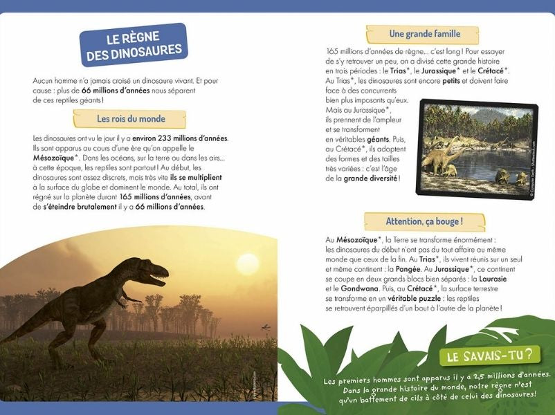 Achat Coffret à la découverte des dinosaures - Auzou
