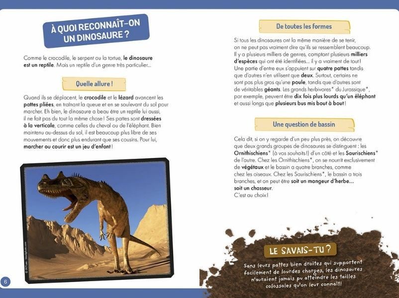 achat Coffret à la découverte des dinosaures - Auzou