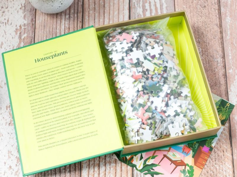 achat Puzzle Lighting 101 : Houseplants - 500 pièces - Galison