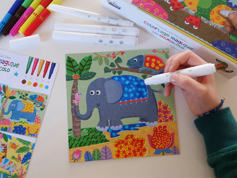 Achat Coloriage facile Animocolo Tableau à créer - Créa Lign'