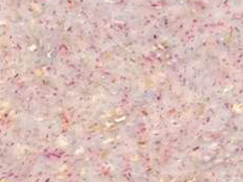 achat Pâte Fimo Effect Botanique Rose