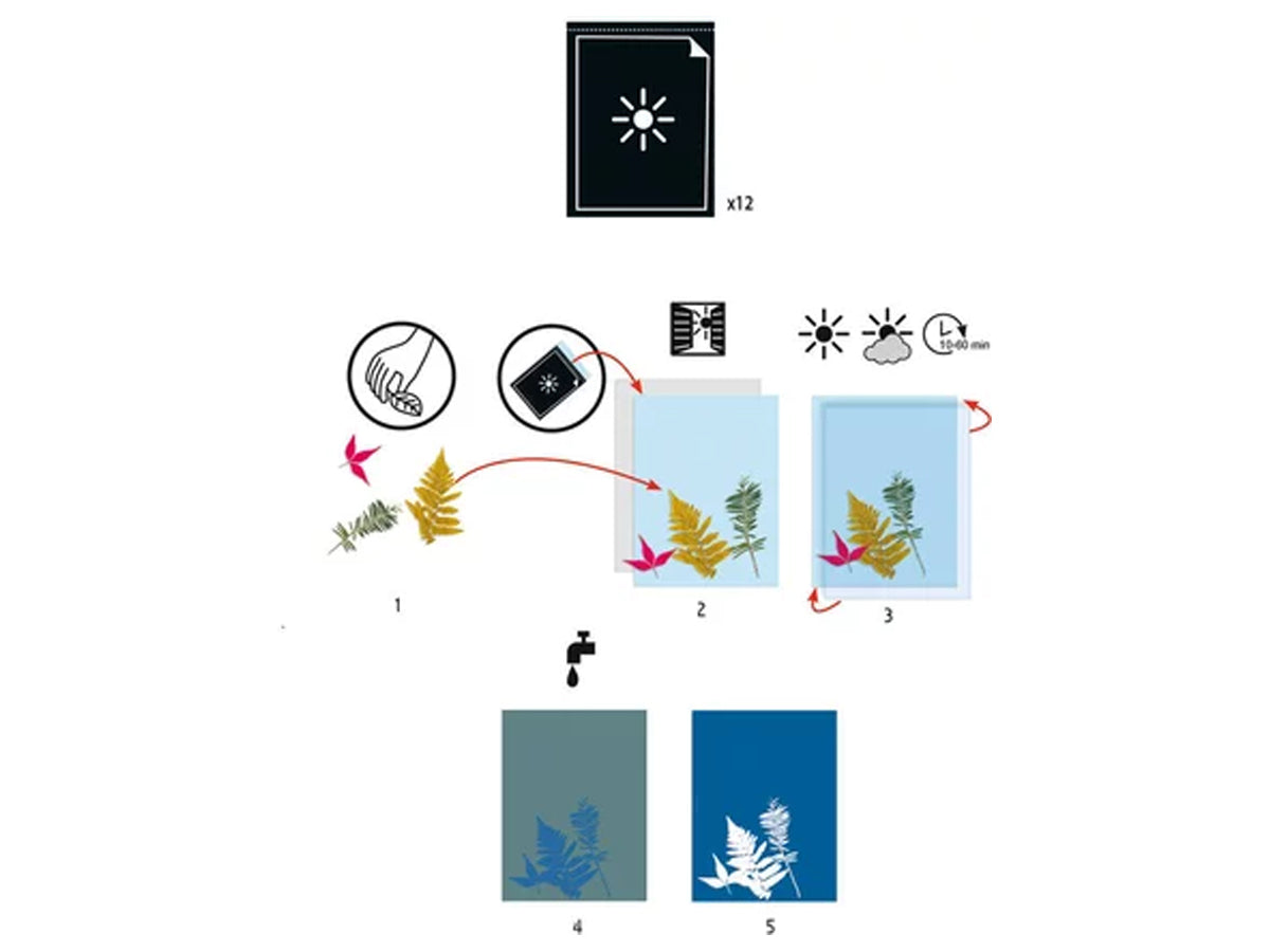 achat Cyanotype 12 papiers créatifs - Djeco