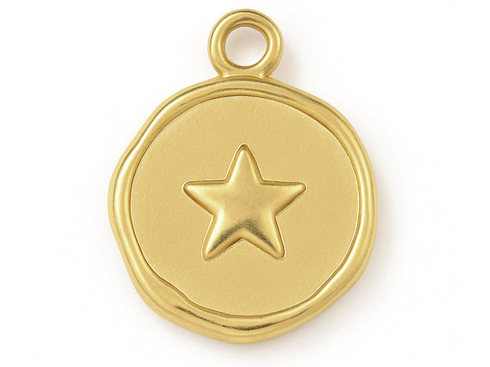 Achat Pendentif rond plat avec étoile en acier inoxydable 304 plaqué or 18K