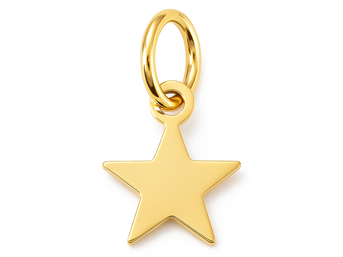 Achat Breloque étoile en acier inoxydable 201 plaqué or 18K avec anneau
