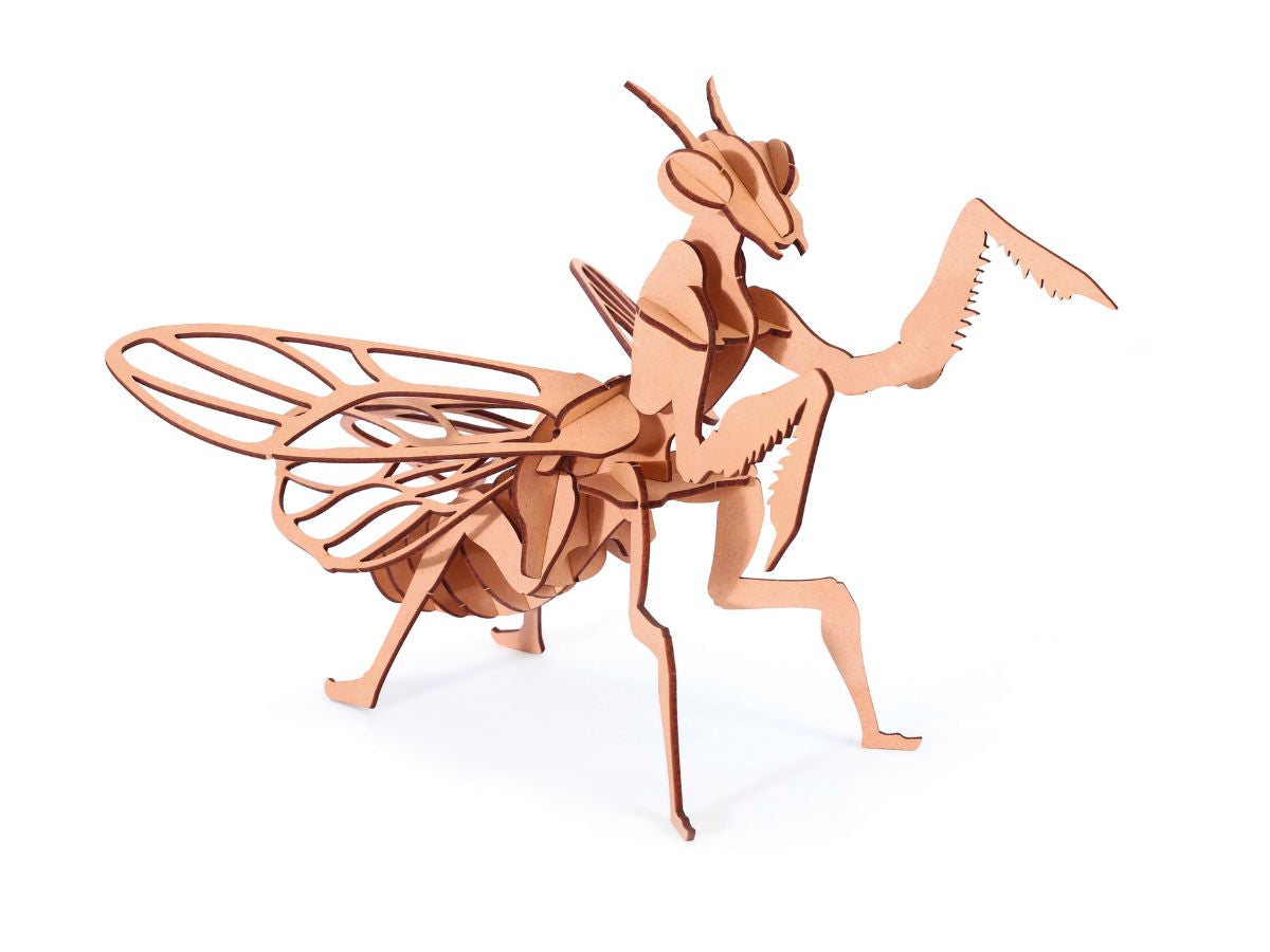 Achat Maquette en bois 3D - Mante religieuse