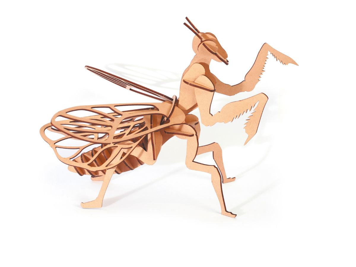 Maquette en bois 3D - Mante religieuse