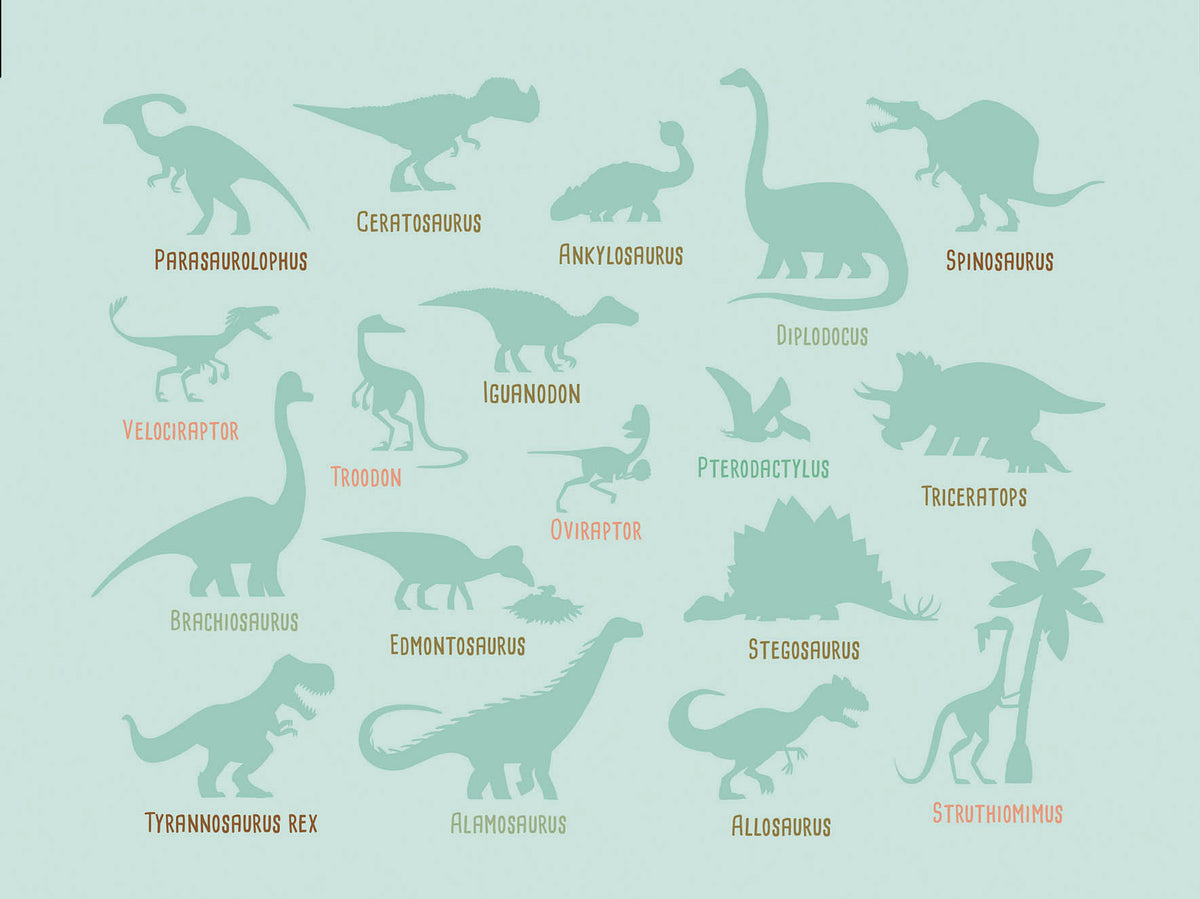 achat Mon petit coffret aimanté – Les dinosaures