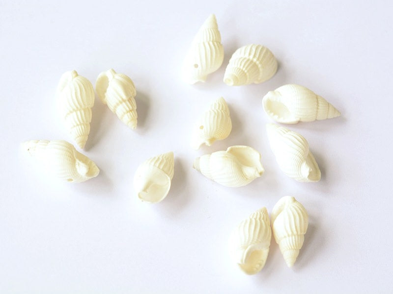 Achat 10 perles Coquillage spirale
