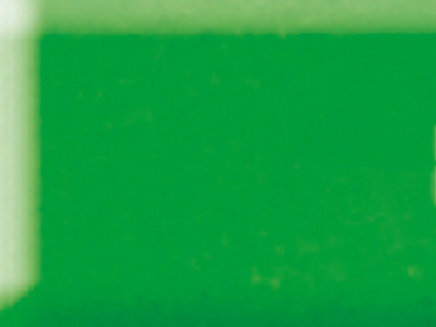achat Pâte Fimo Soft Vert Tropique 53