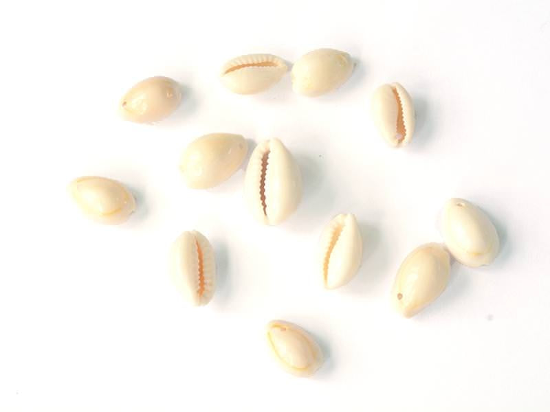 Achat Assortiment de 10 perles Coquillage Cauris - taille aléatoire