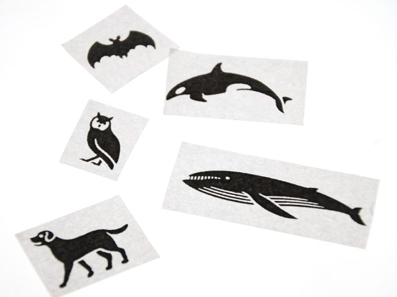 Achat Masking tape à motifs - black animals