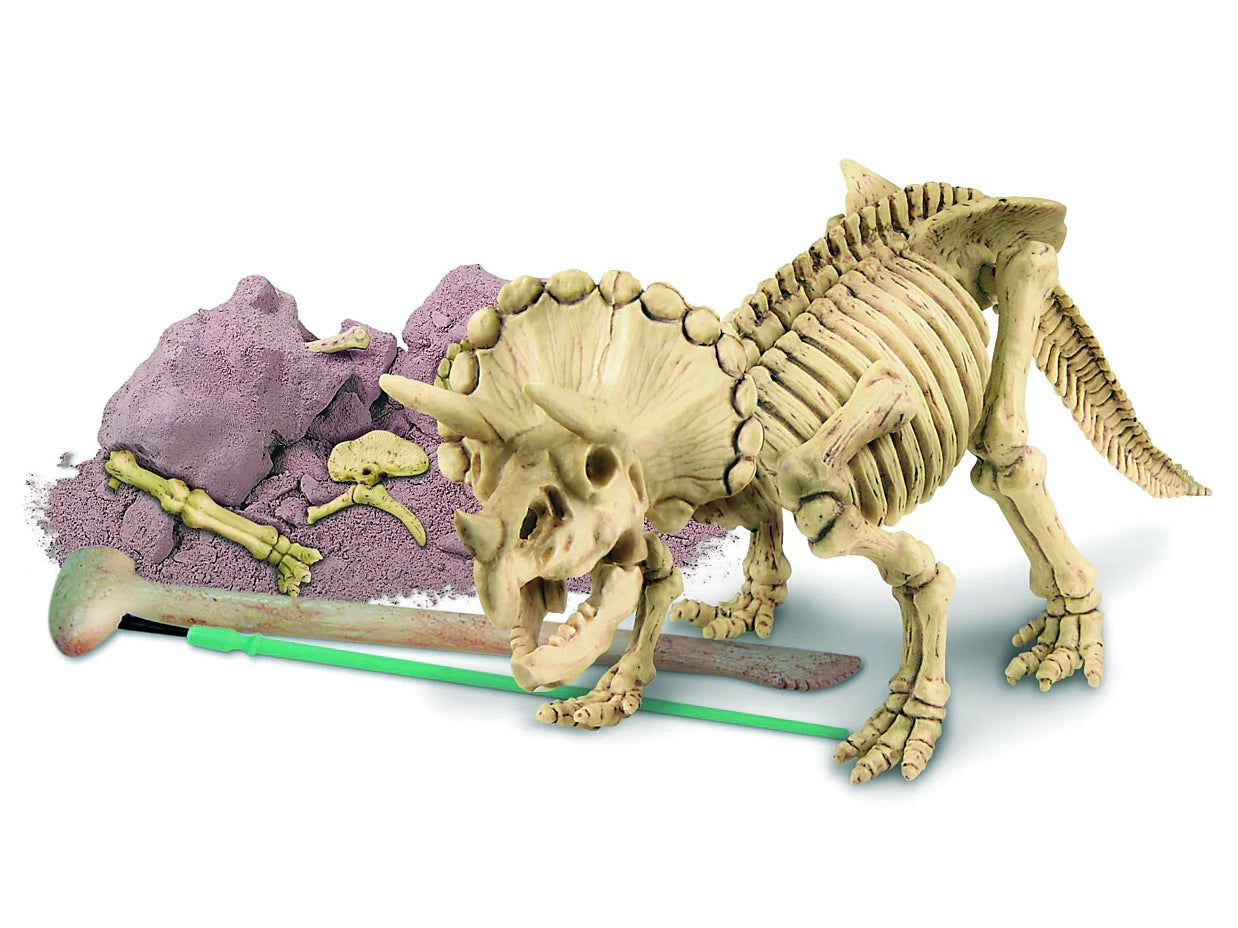 achat Kit DAM - Déterre ton dinosaure - Triceratops