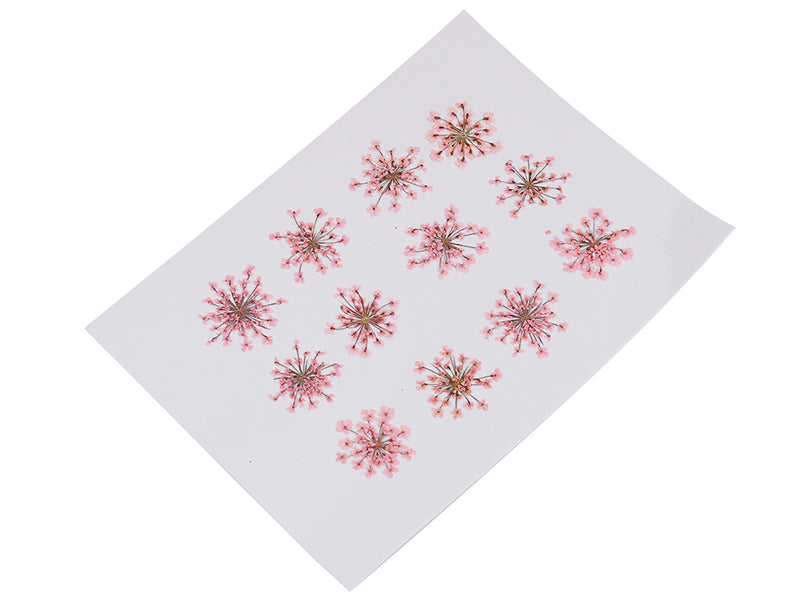 Achat Planche de 12 fleurs pressées - rose