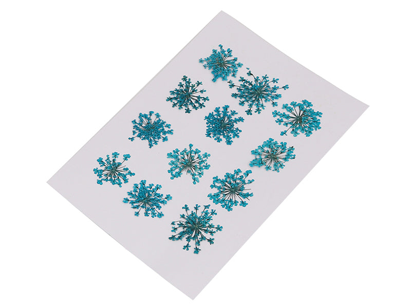 Achat Planche de 12 fleurs pressées - bleu turquoise
