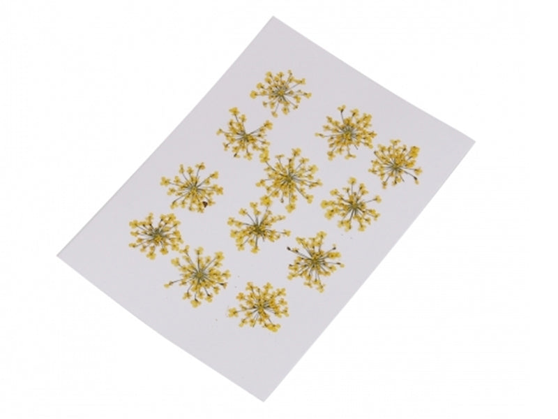 Achat Planche de 12 fleurs pressées - jaune