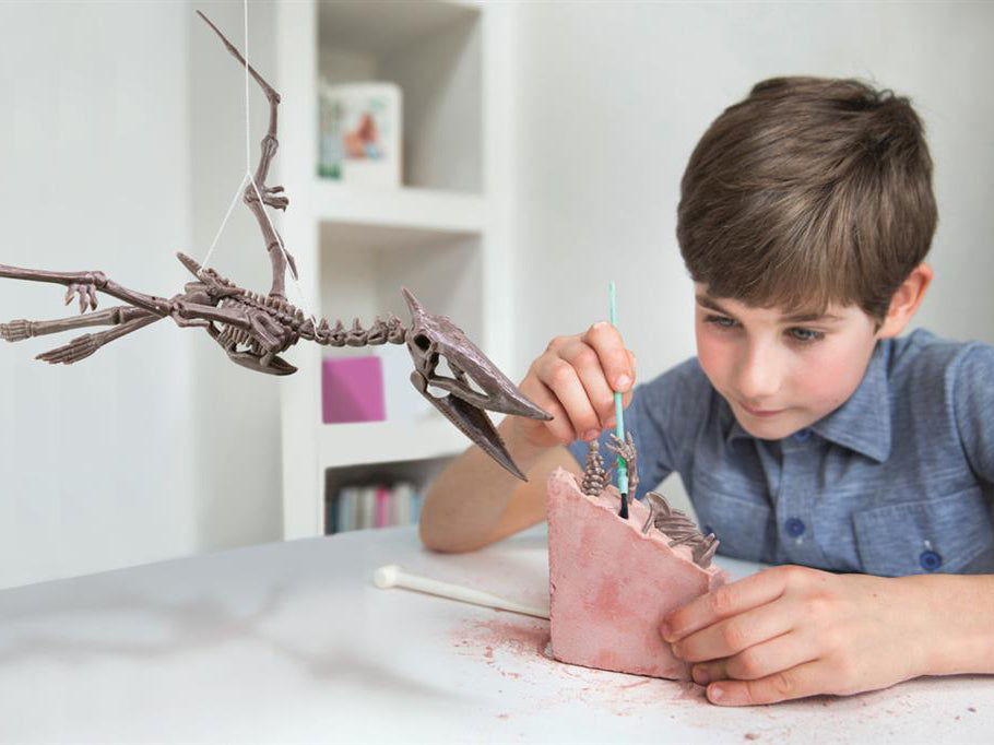 Achat Kit DAM - Déterre ton dinosaure - Pteranodon