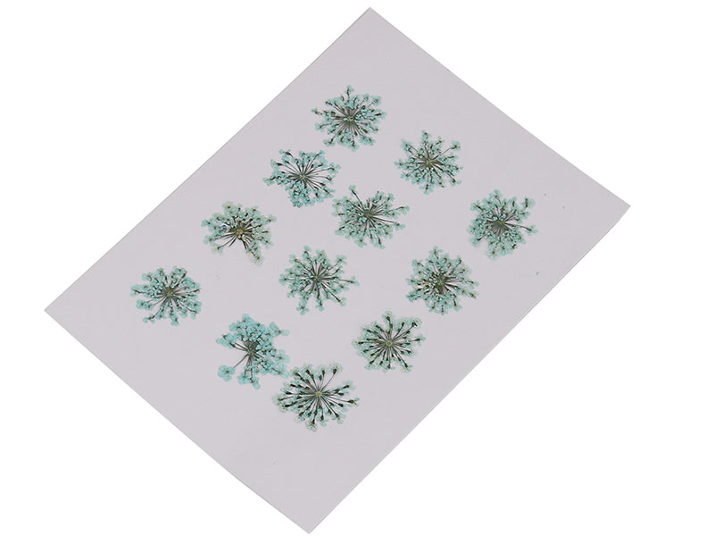 Achat Planche de 12 fleurs pressées - vert menthe