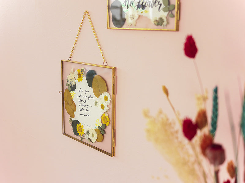 achat Sachet de Gingkos pressés (6 à 8 feuilles) - Aléatoire