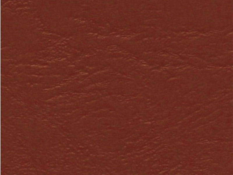 achat Pâte Fimo LEATHER EFFECT - Noisette 779