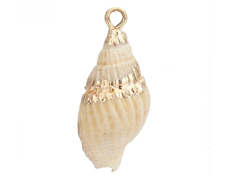 Achat Pendentif véritable coquillage conque avec détails dorés - 23 mm
