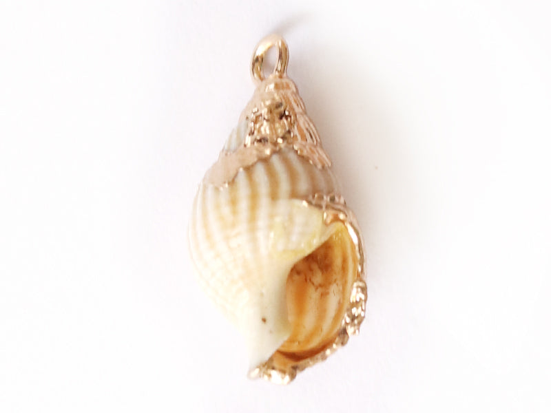 achat Pendentif véritable coquillage conque avec détails dorés - 23 mm