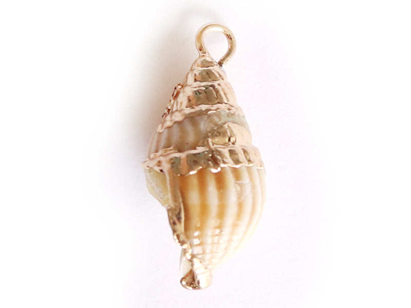 achat Pendentif véritable coquillage conque avec détails dorés - 23 mm