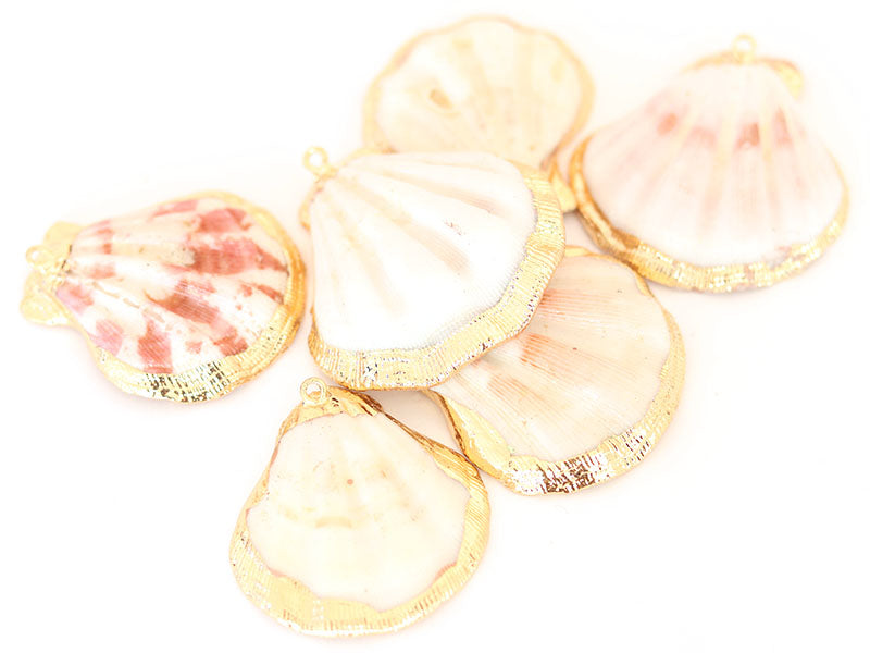 Achat Pendentif coquillage coquille 45 mm- bordure dorée
