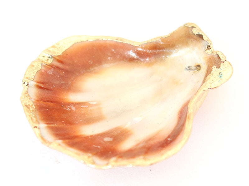 achat Pendentif coquillage coquille 45 mm- bordure dorée