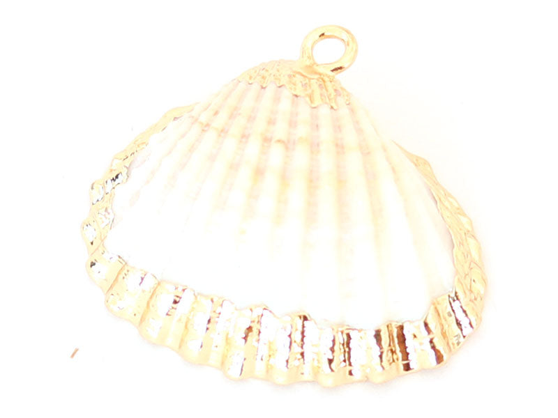 Achat Pendentif coquillage coquille 25 mm- bordure dorée