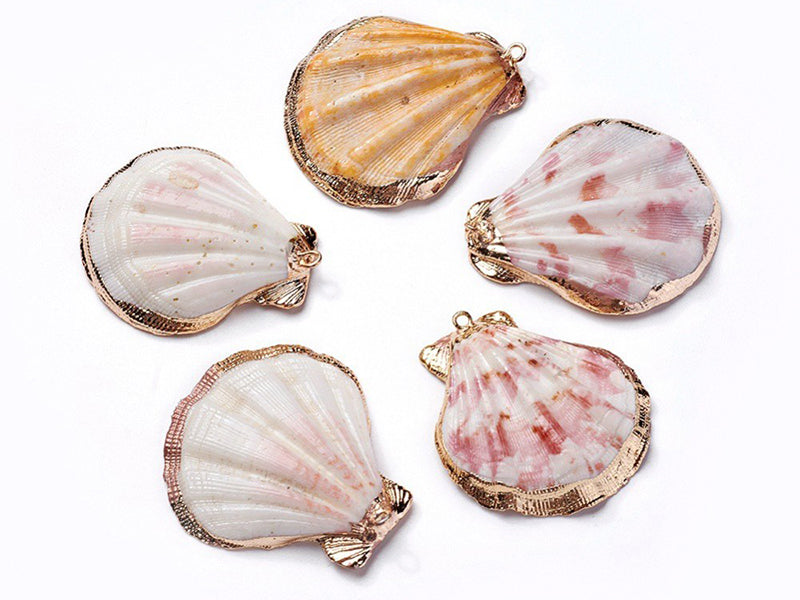 achat Pendentif coquillage coquille 45 mm- bordure dorée