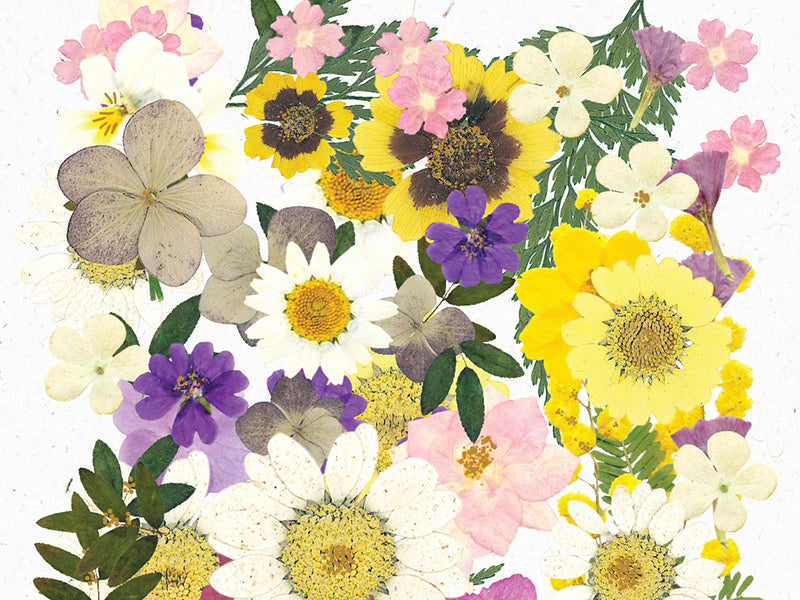 Achat Stickers fleurs en folie
