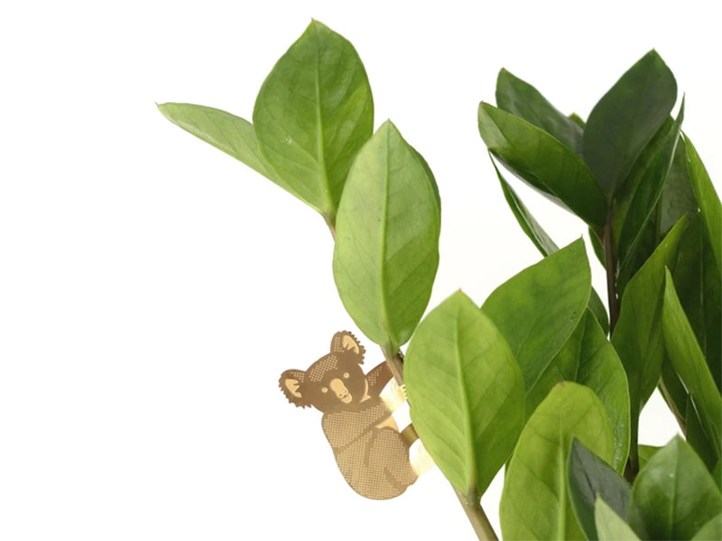 Achat Bijou pour plantes - Koala