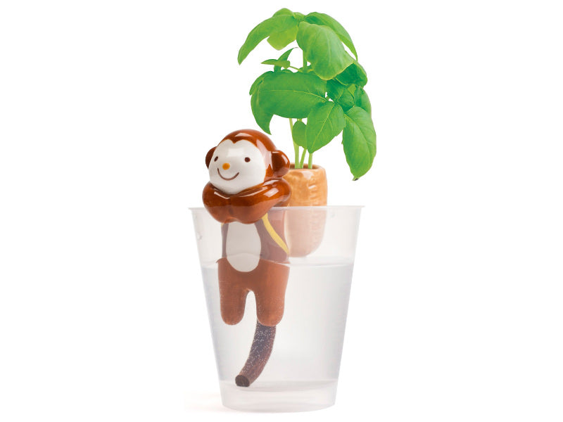 Achat Kit pour faire pousser ta plante - singe dans un verre - basilic