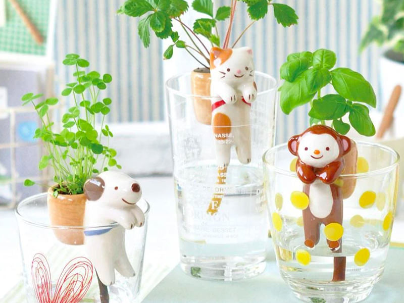 achat Kit pour faire pousser ta plante - singe dans un verre - basilic